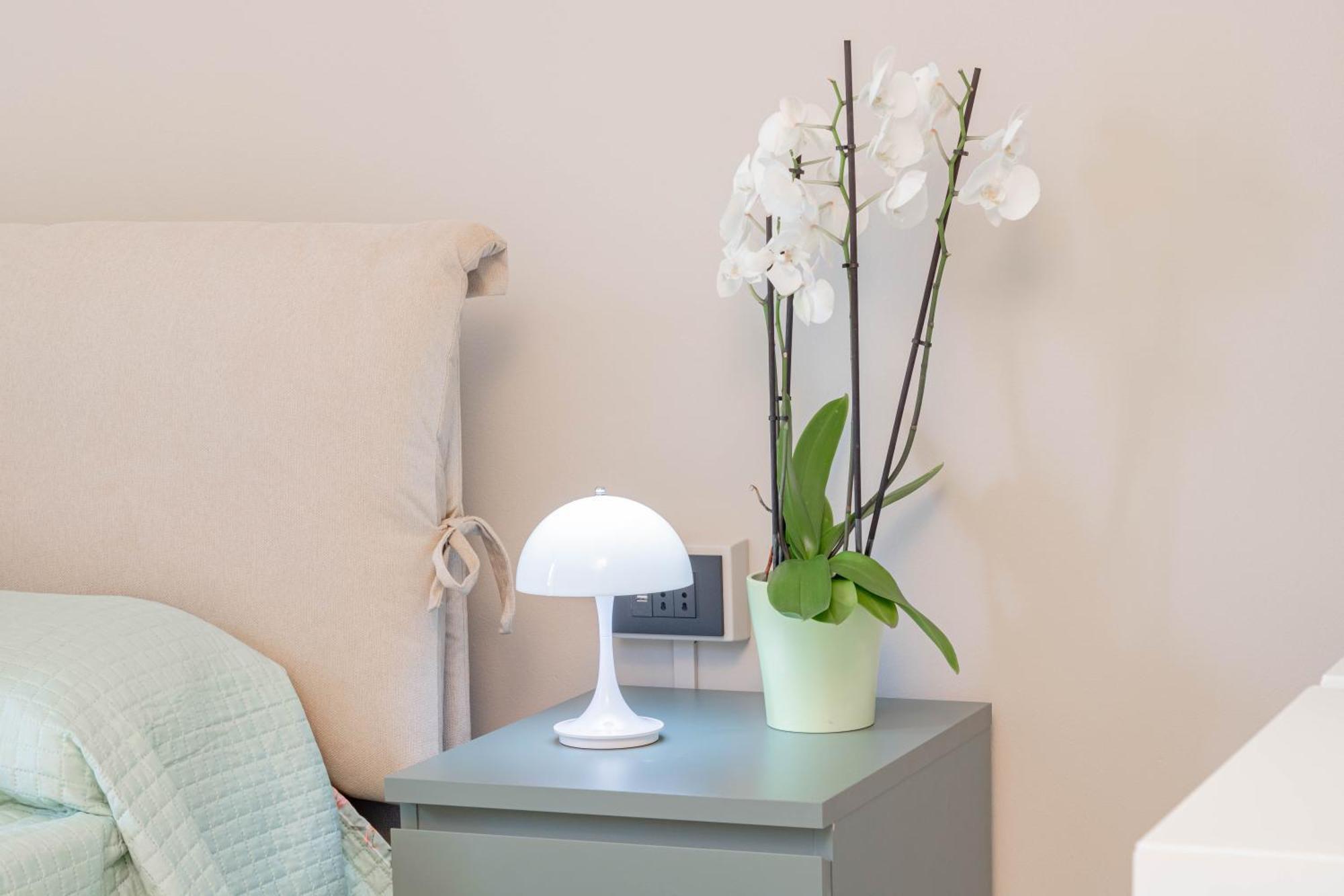 H11 Casa Benjamin Mare-sanremo Apartment